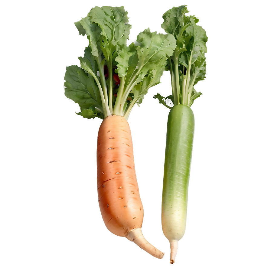 Handpicked Vegetables Set Png 79 PNG
