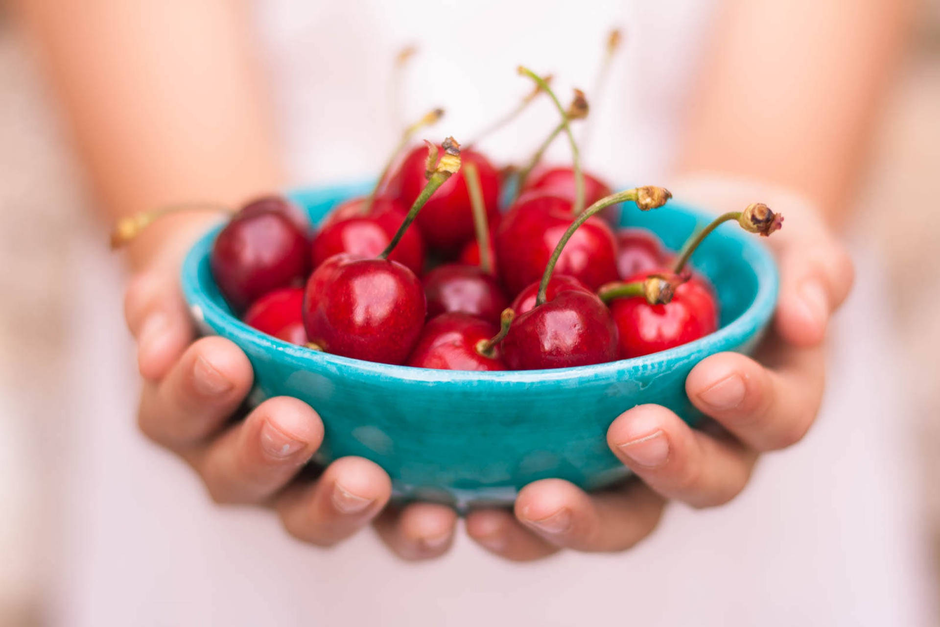Hands Holding Bowl Of Cherries Wallpaper