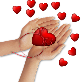 Hands Holding Red Heart Gift PNG