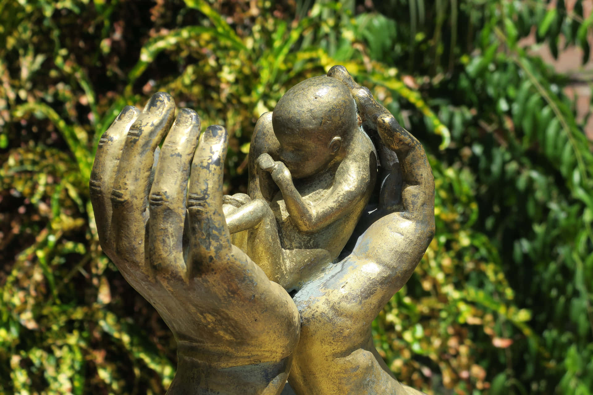 Hands Protecting Baby Anti-abortion Statue Wallpaper