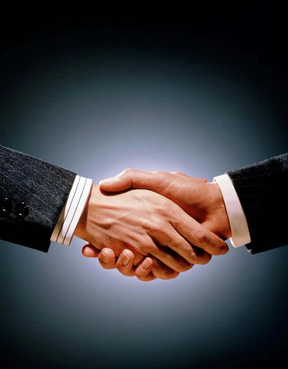 Two Businessmen Handshake Portrait Picture