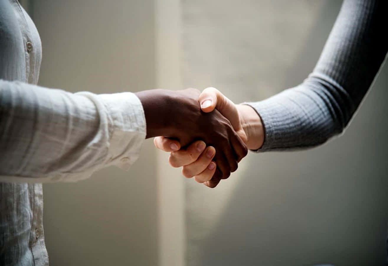 People Handshake Against White Wall Picture