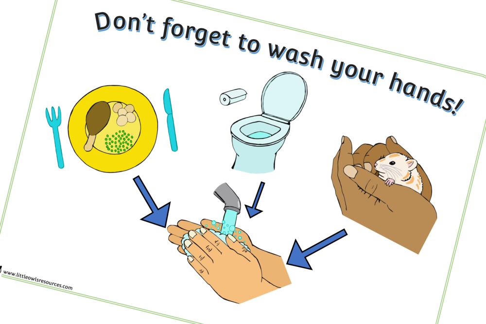 Handwashing Reminder Poster PNG