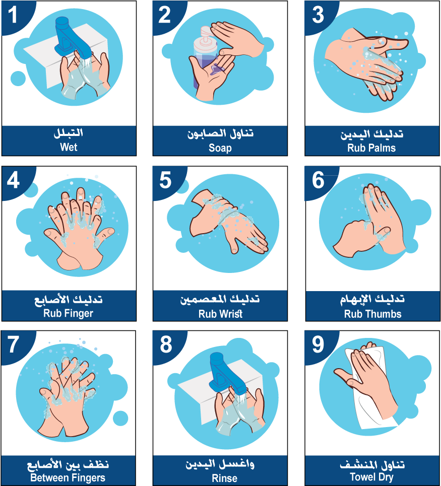 Handwashing Steps Illustration PNG