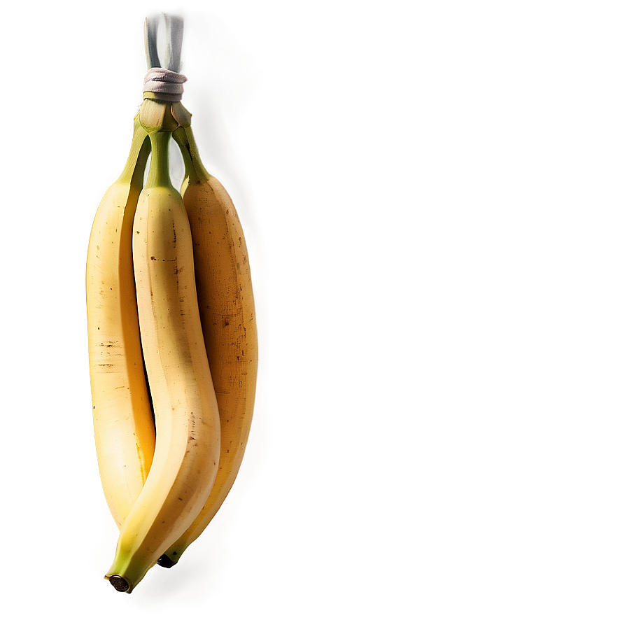 Hanging Banana Branch Png 05042024 PNG