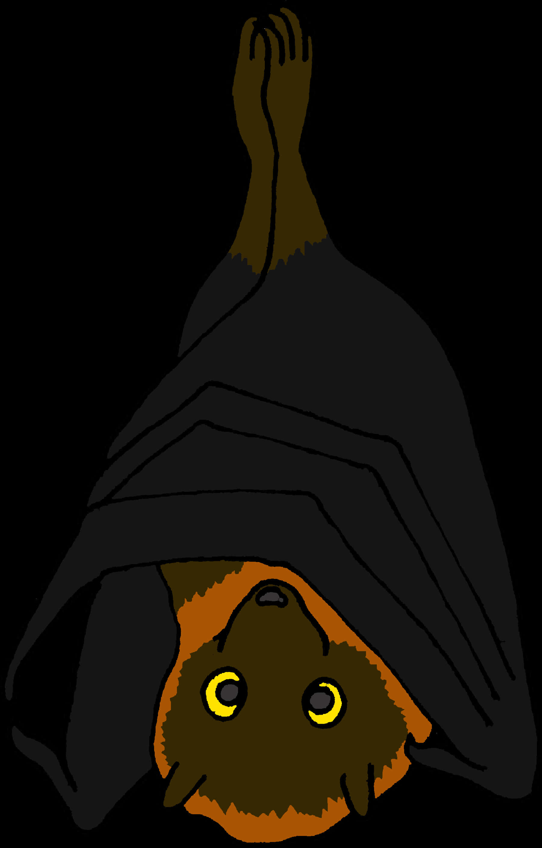 Hanging Bat Illustration PNG
