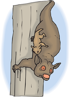 Hanging Bats Cartoon PNG