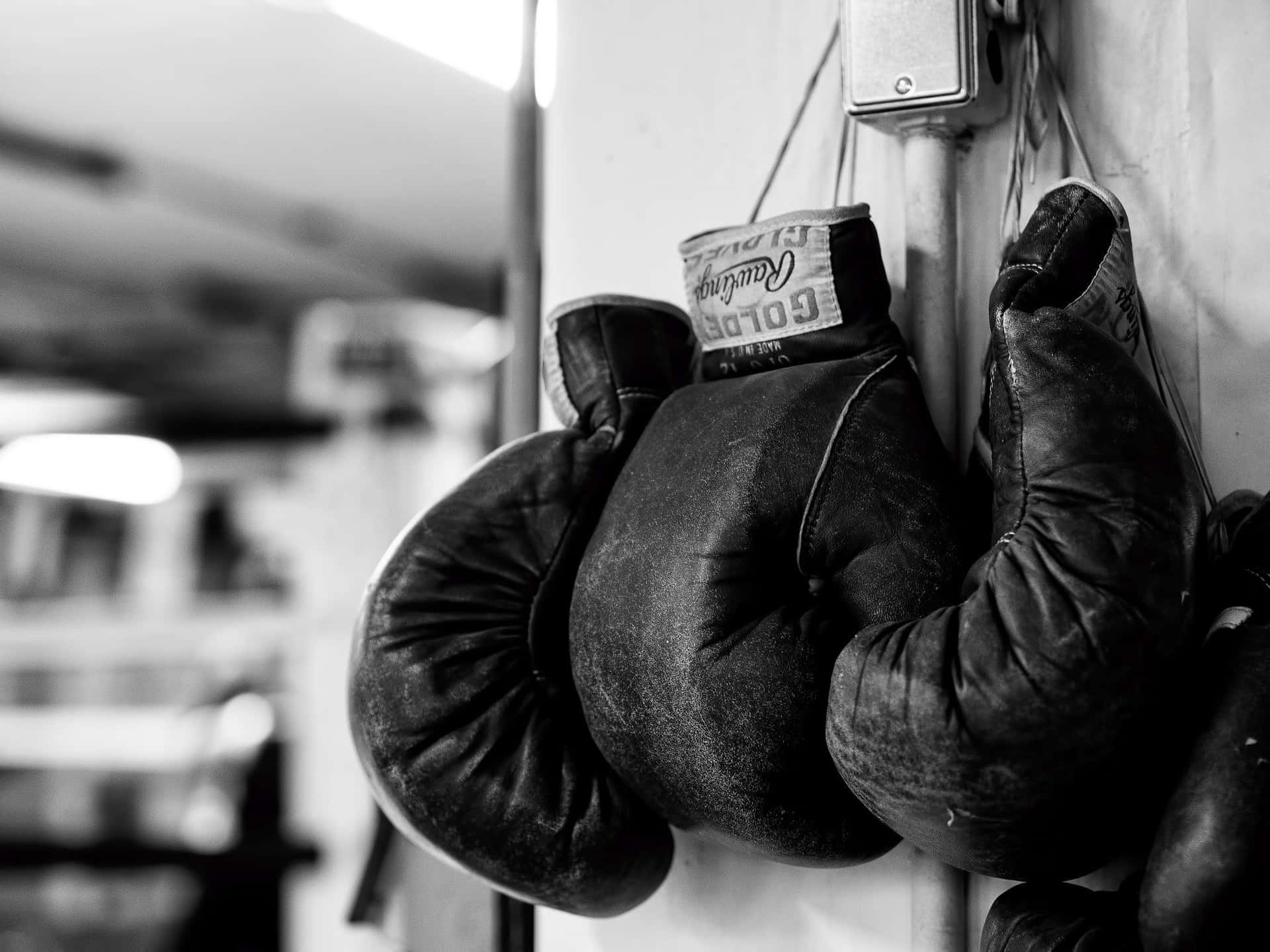 Hanging Boxing Gloves Monochrome Wallpaper