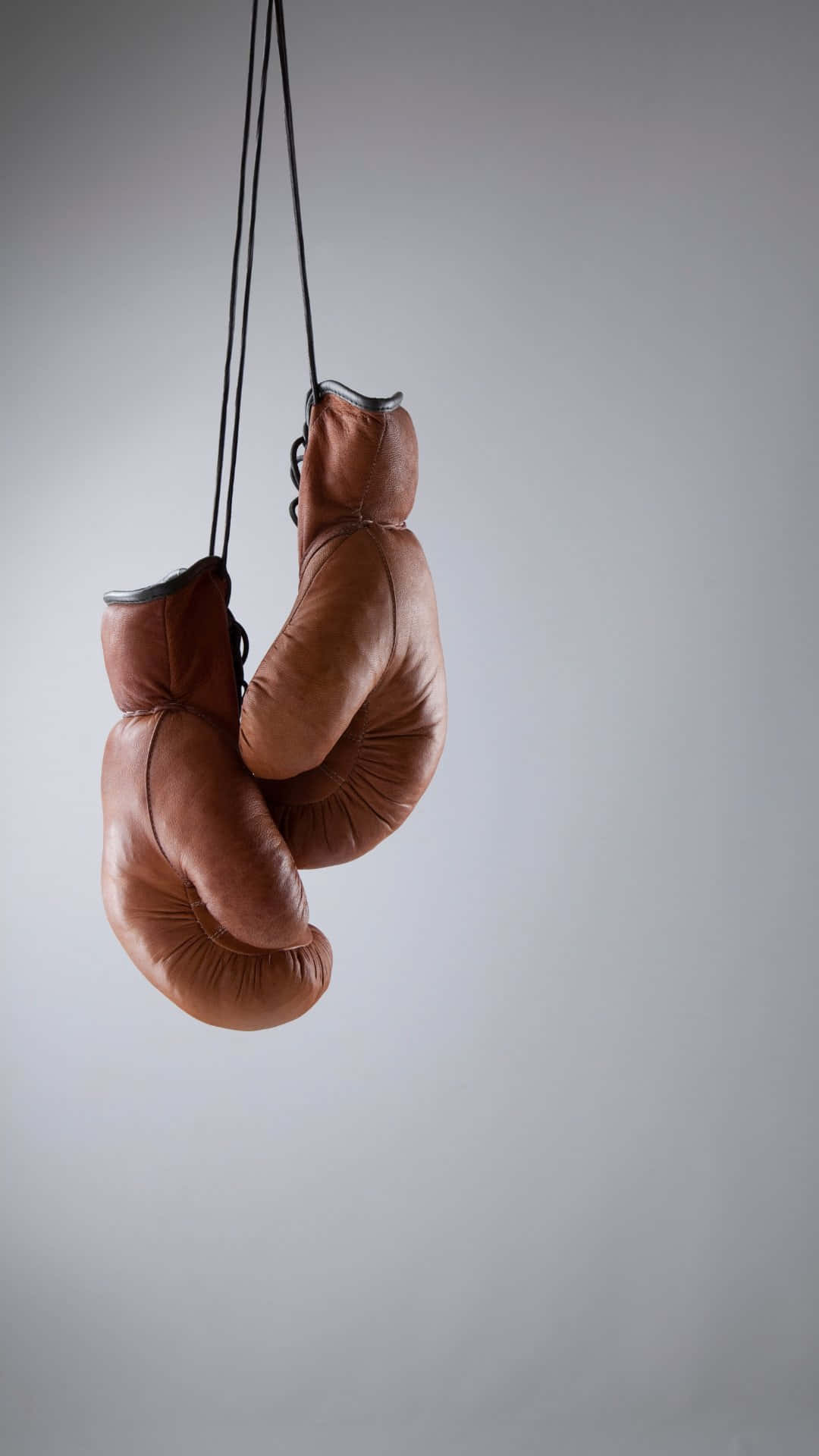Hanging Boxing Gloves Neutral Backdrop Wallpaper