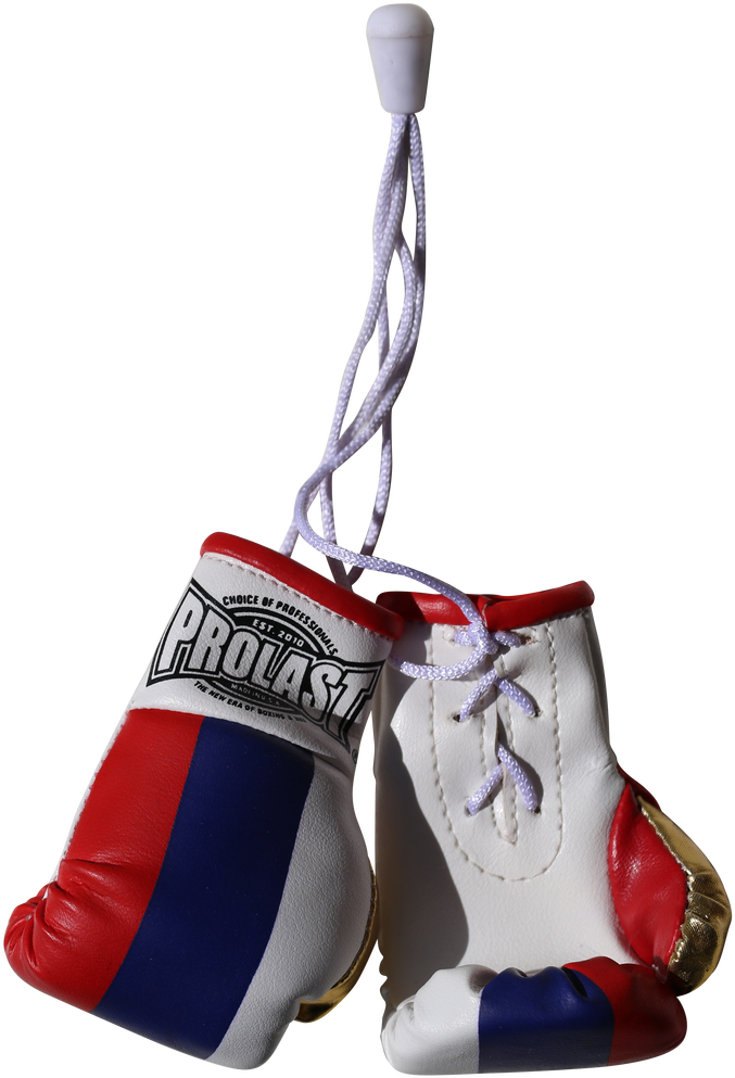 Hanging Boxing Gloves Provast PNG