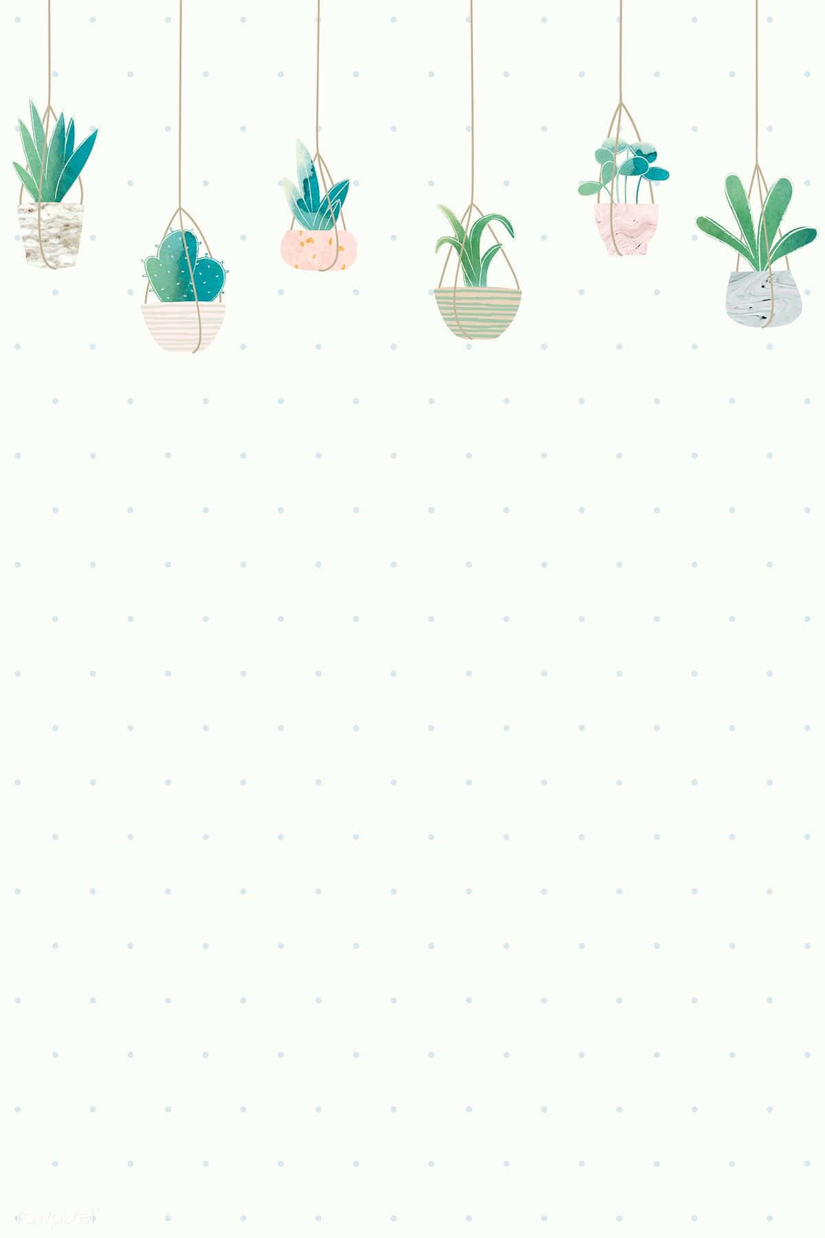 Hanging Cute Plants Wallpaper