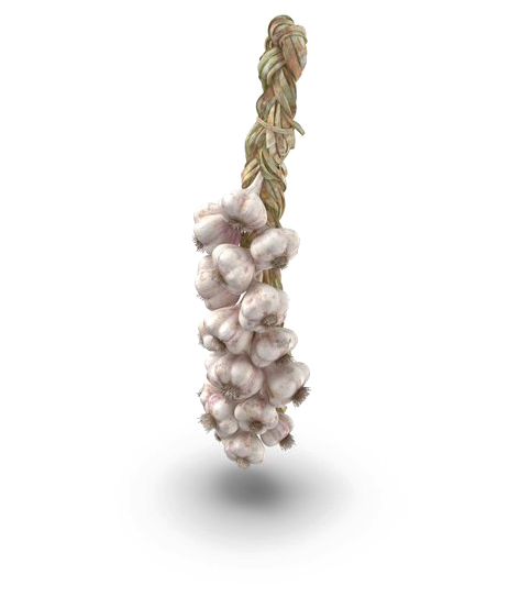 Hanging Garlic Braid PNG