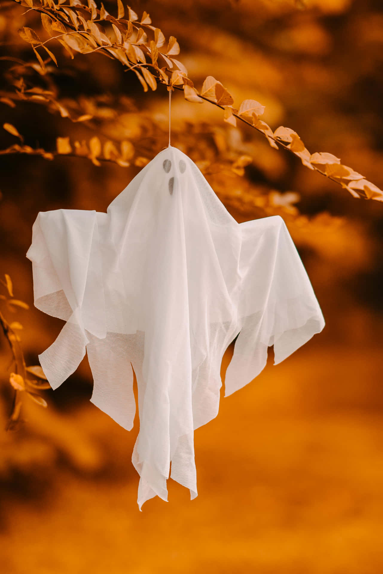 Hanging Ghost Decoration Autumn Backdrop Wallpaper