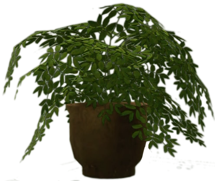 Hanging Green Plantin Brown Pot PNG