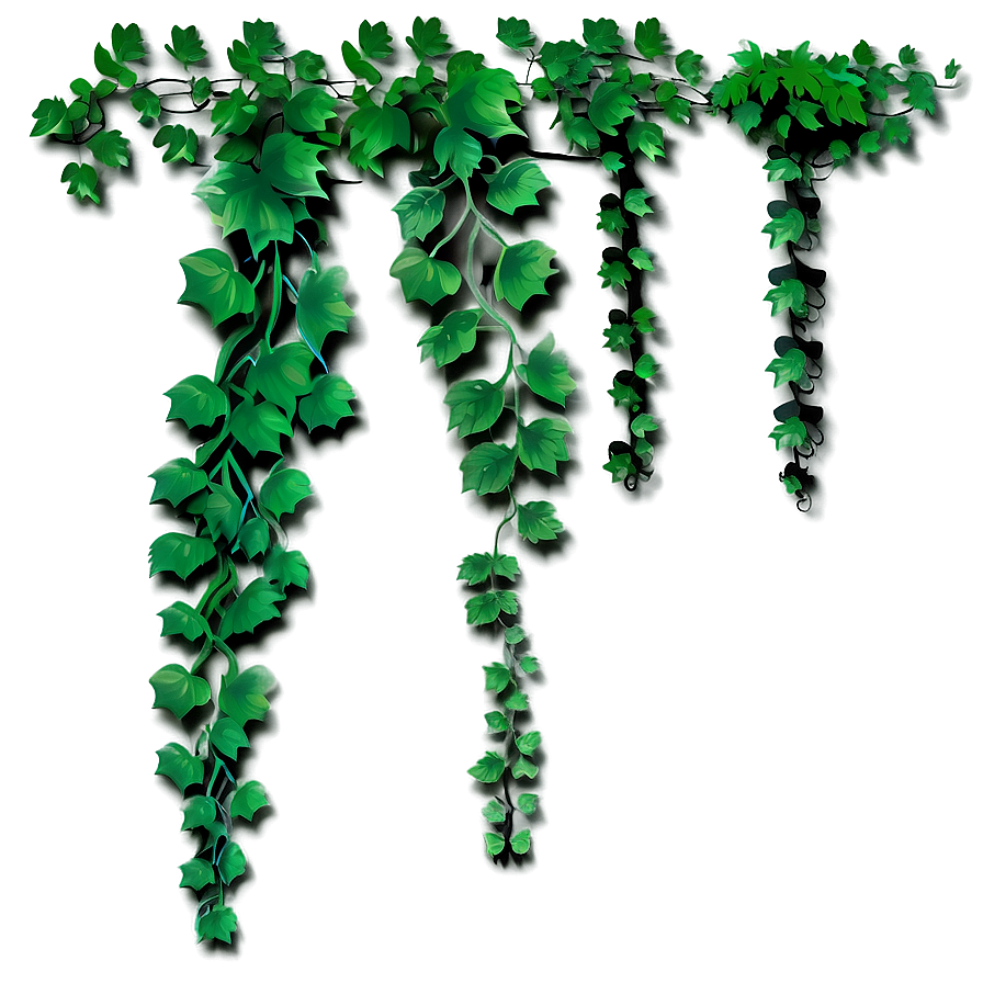 Hanging Green Vines PNG