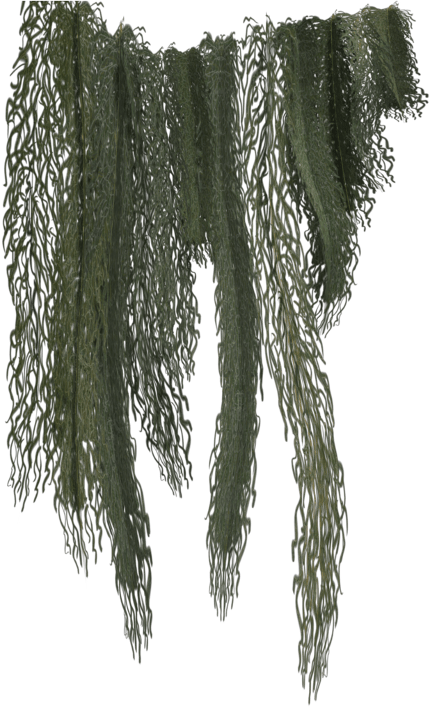 Download Hanging Green Vines.png 