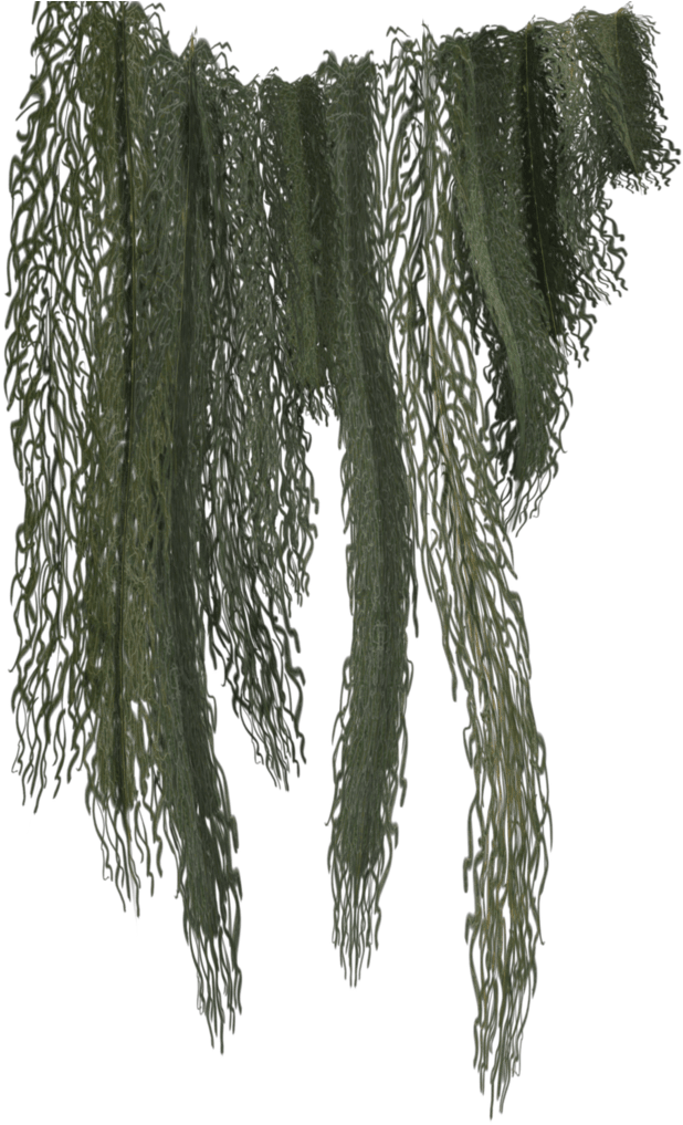 Hanging Green Vines.png PNG