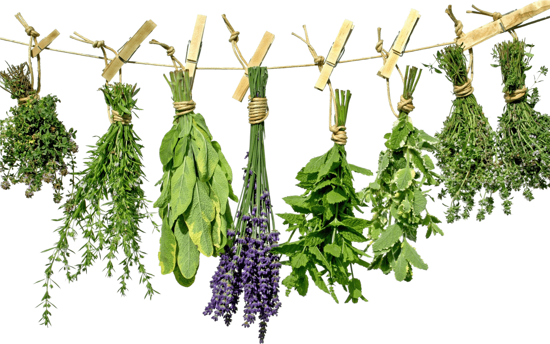 Hanging Herbs Drying Process PNG