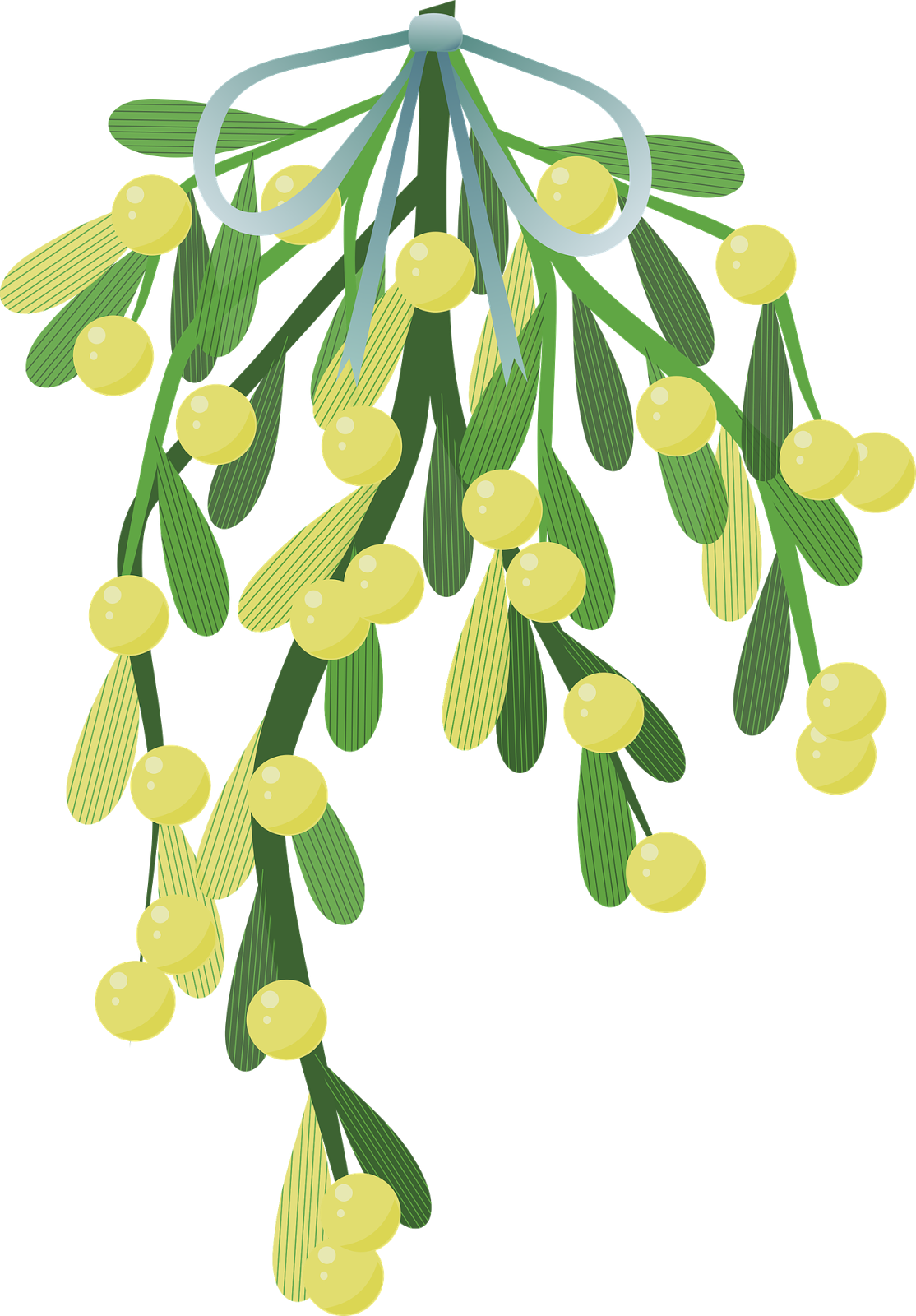 Hanging Mistletoe Illustration PNG