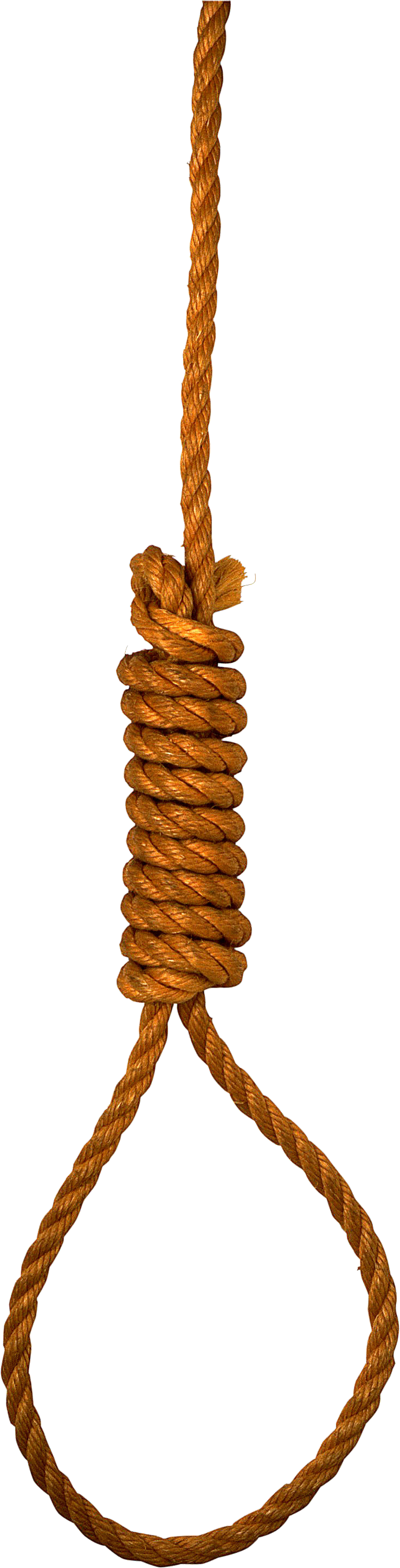 Hanging Noose Rope Loop PNG