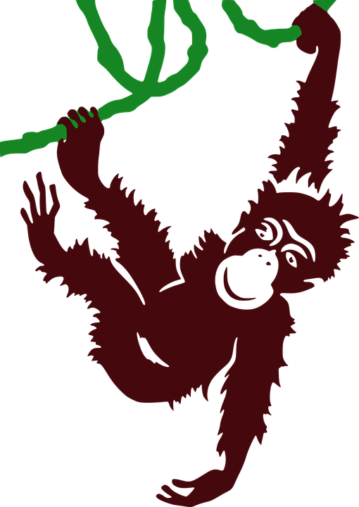 Hanging Orangutan Silhouette PNG