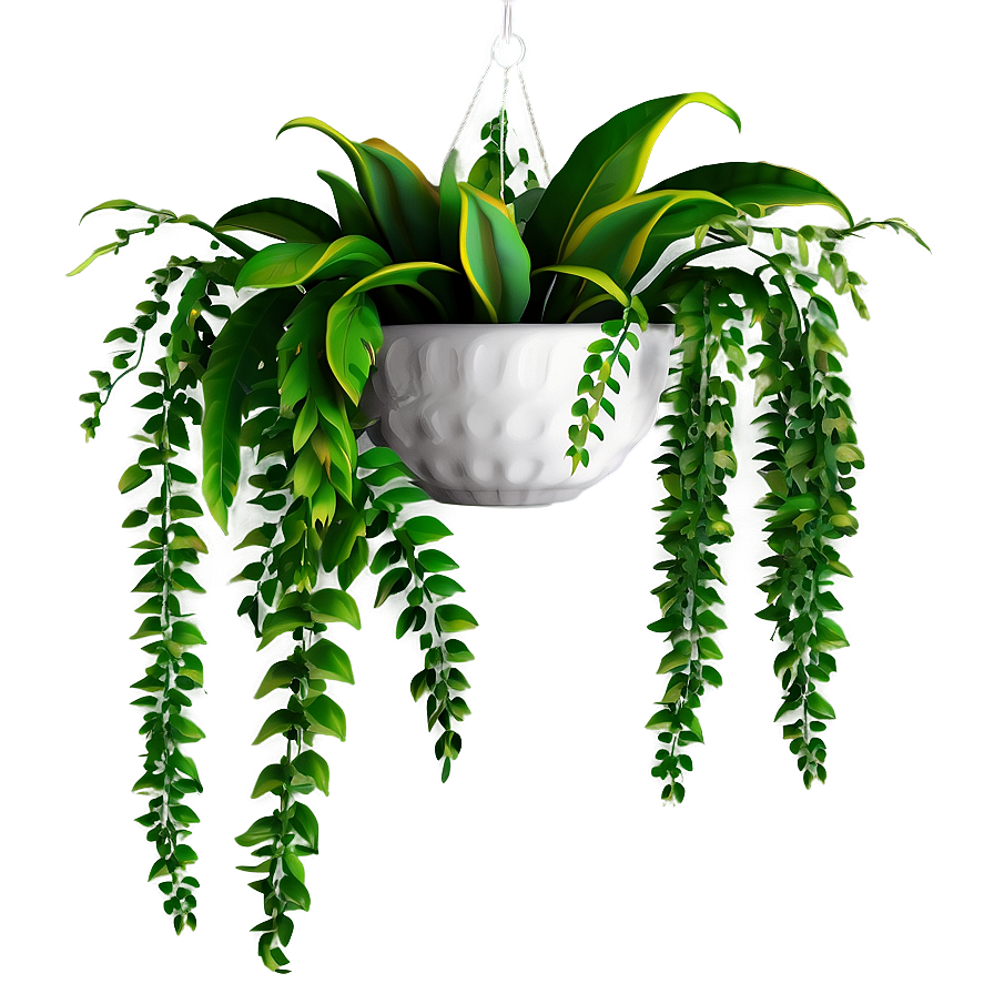 Download Hanging Plant Png 38 | Wallpapers.com