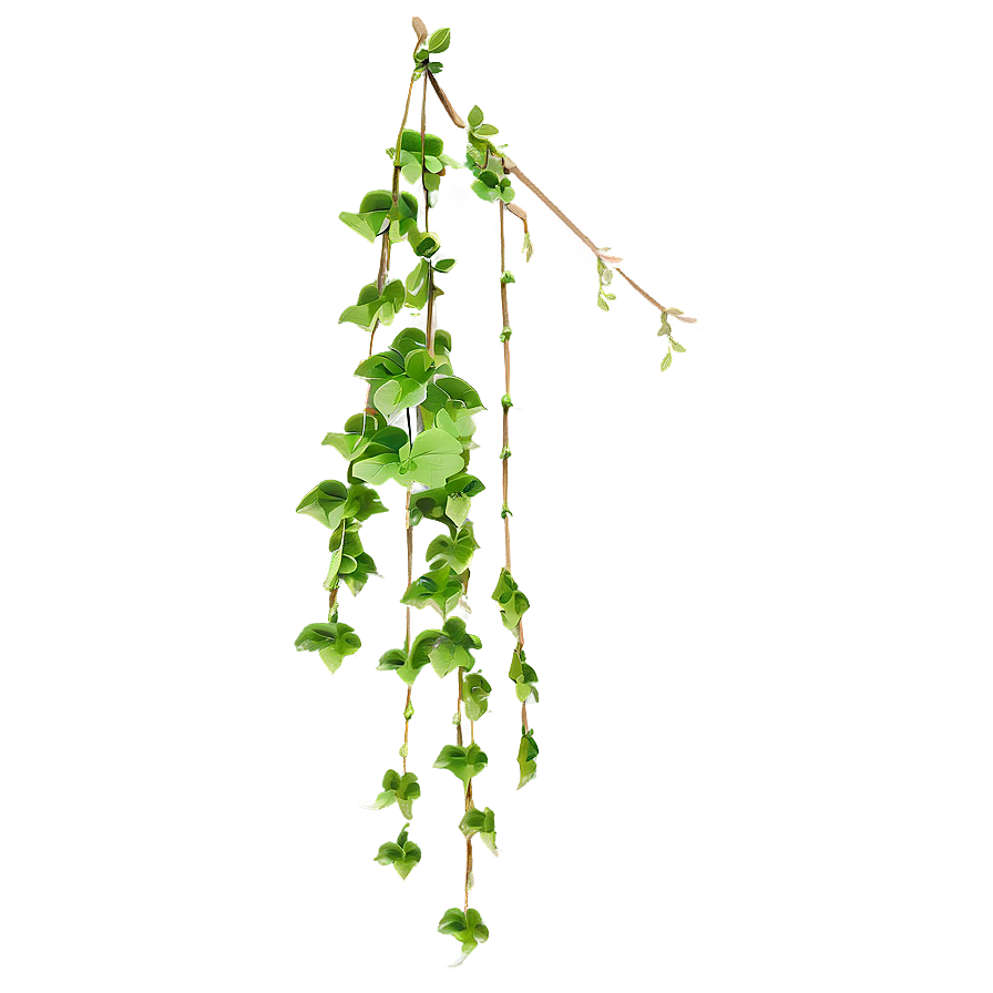 Hanging Plant Png Eqg36 PNG