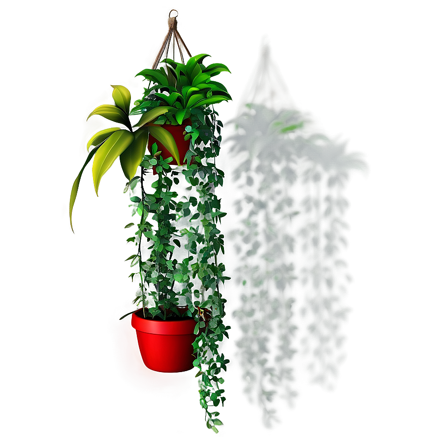 Download Hanging Plants Png 78 | Wallpapers.com