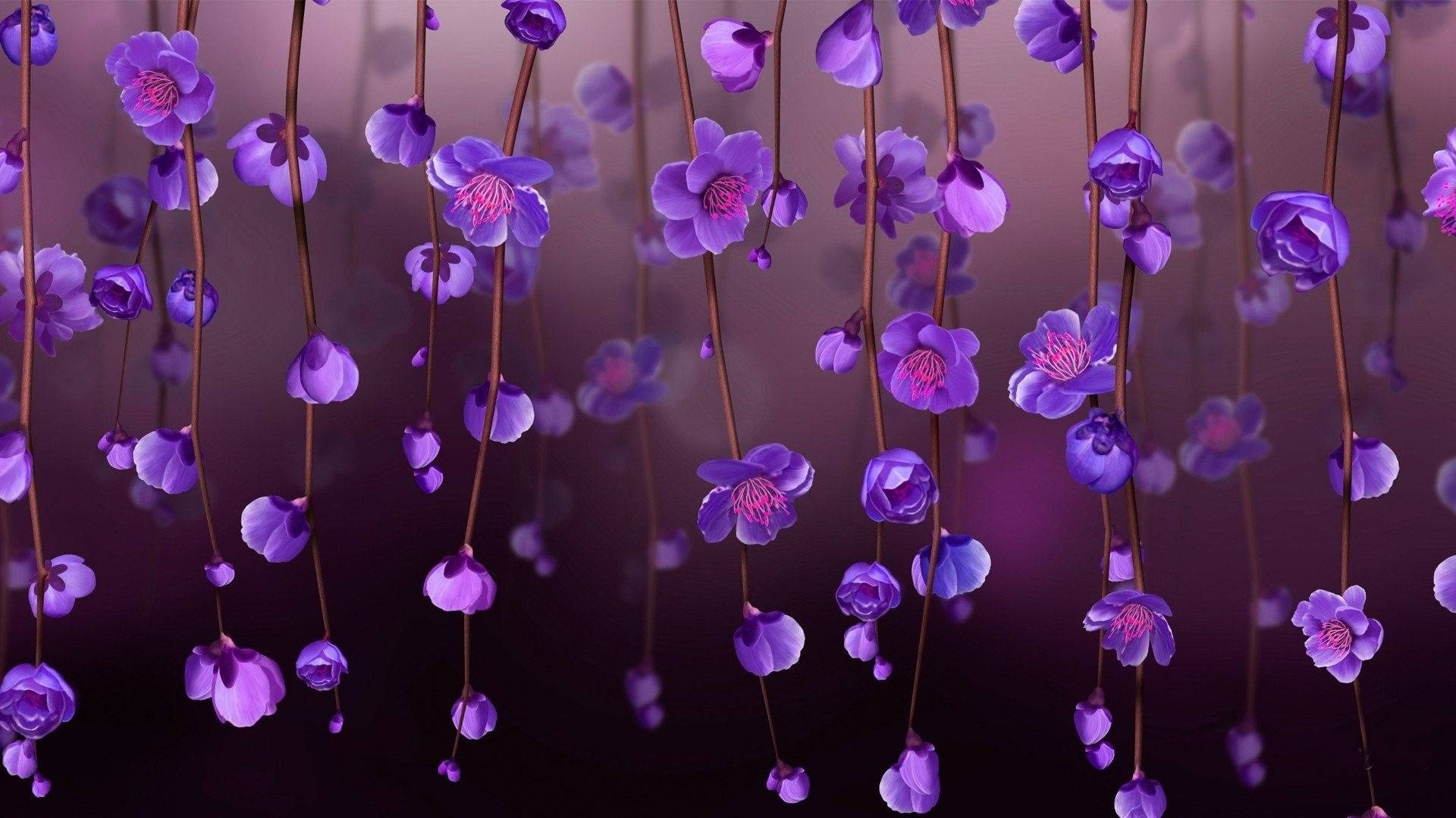 Hanging Purple Flowers Digital Artwork Wallpaper