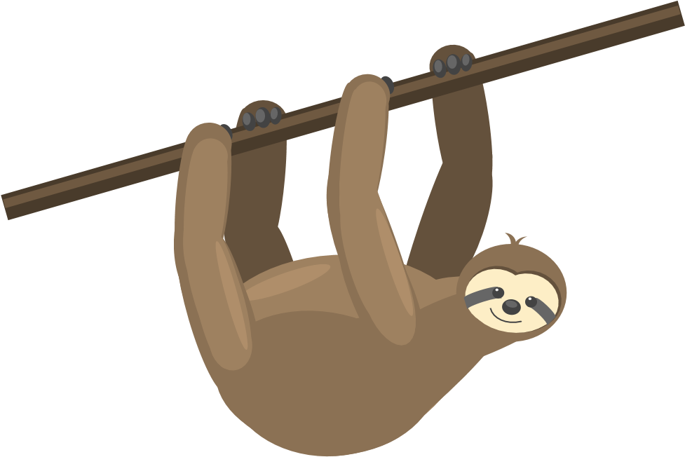 Hanging Sloth Cartoon PNG