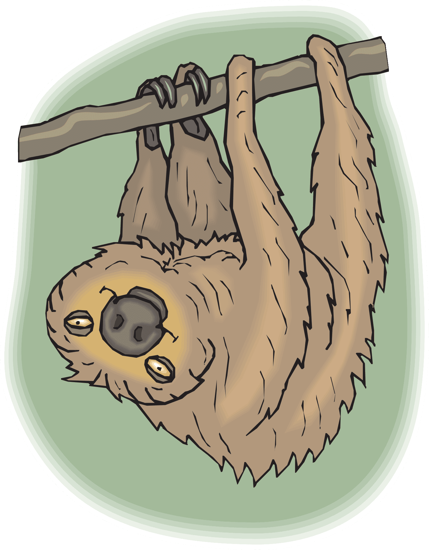 Hanging Sloth Cartoon PNG