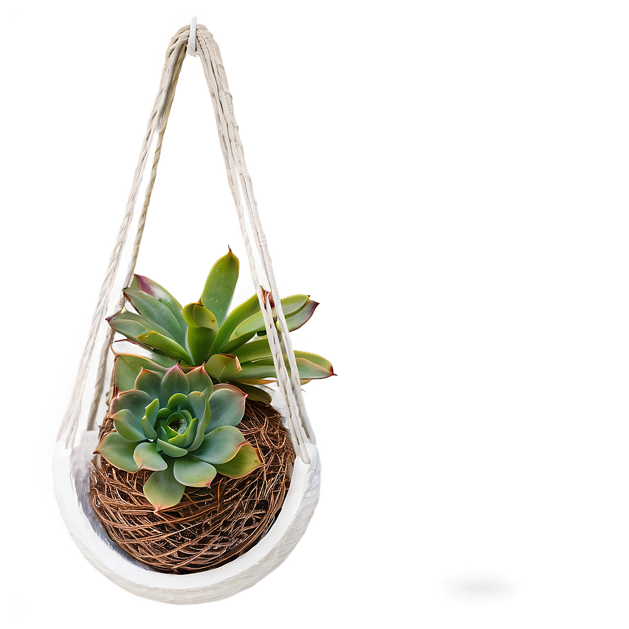 Hanging Succulent Baskets Png Djd82 PNG