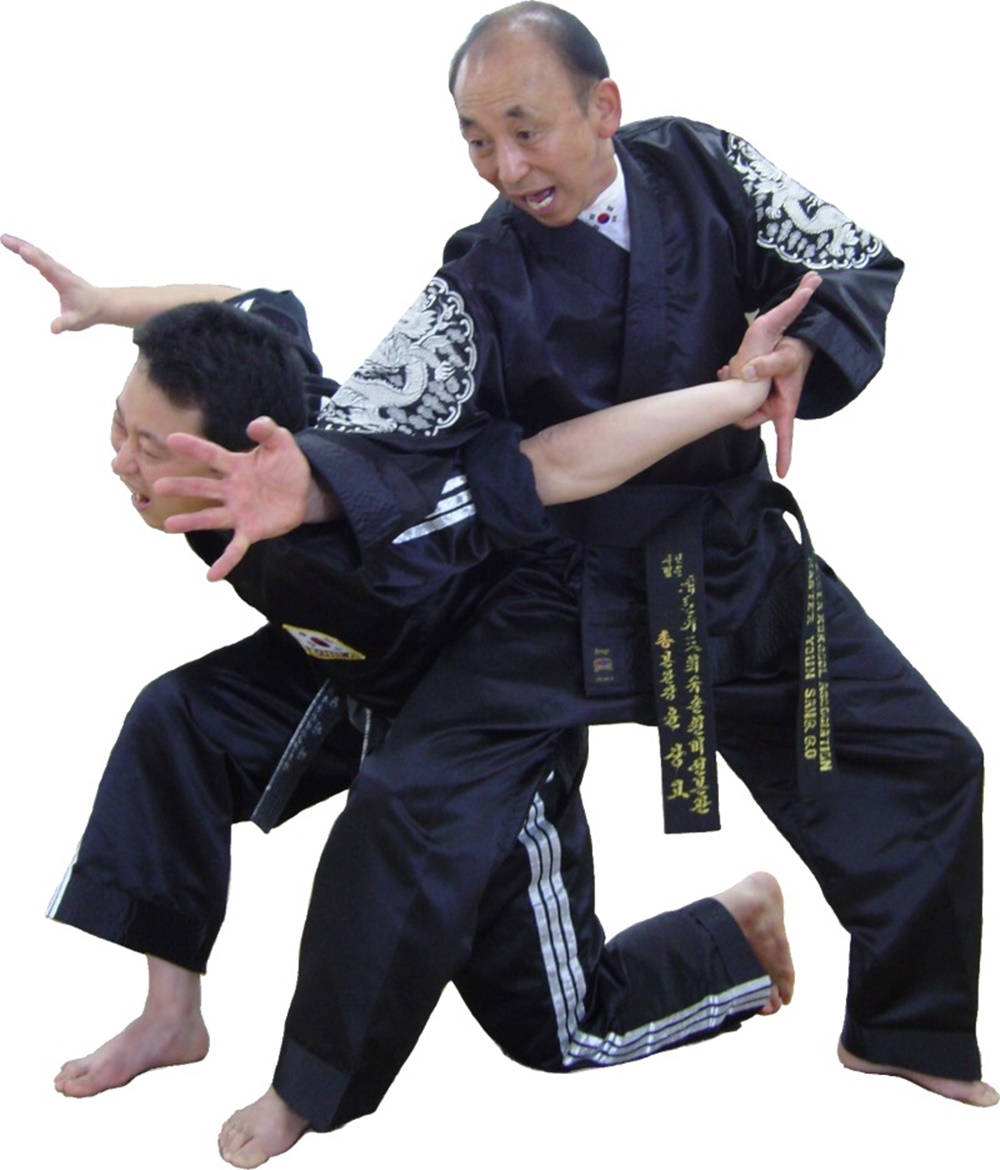 Hapkido Shoulder And Wrist Control Wallpaper