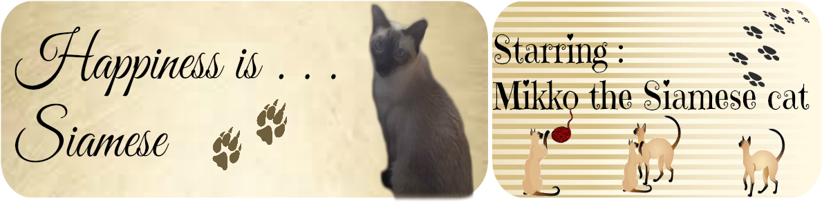 Happiness Siamese Cat Banner PNG