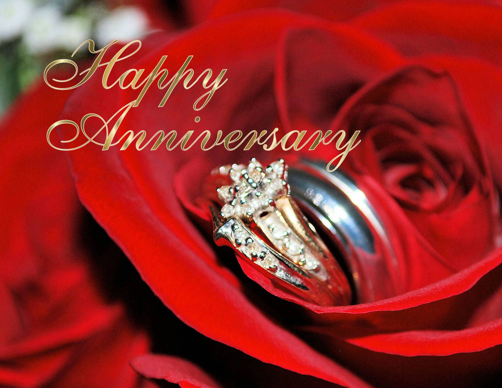 Happy Anniversary Diamond Ring Inside Rose Wallpaper