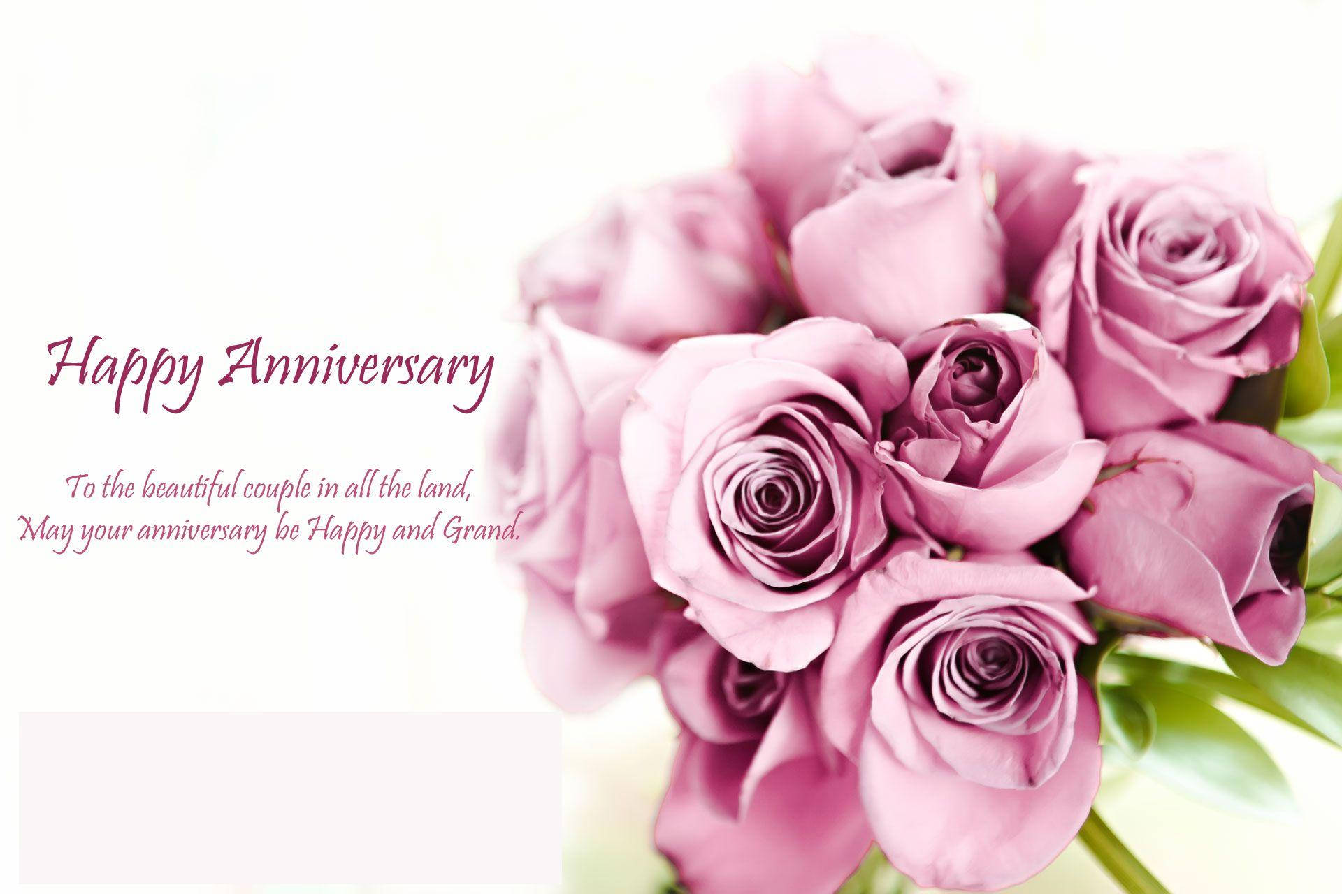 Happy Anniversary Elegant Pink Roses Wallpaper