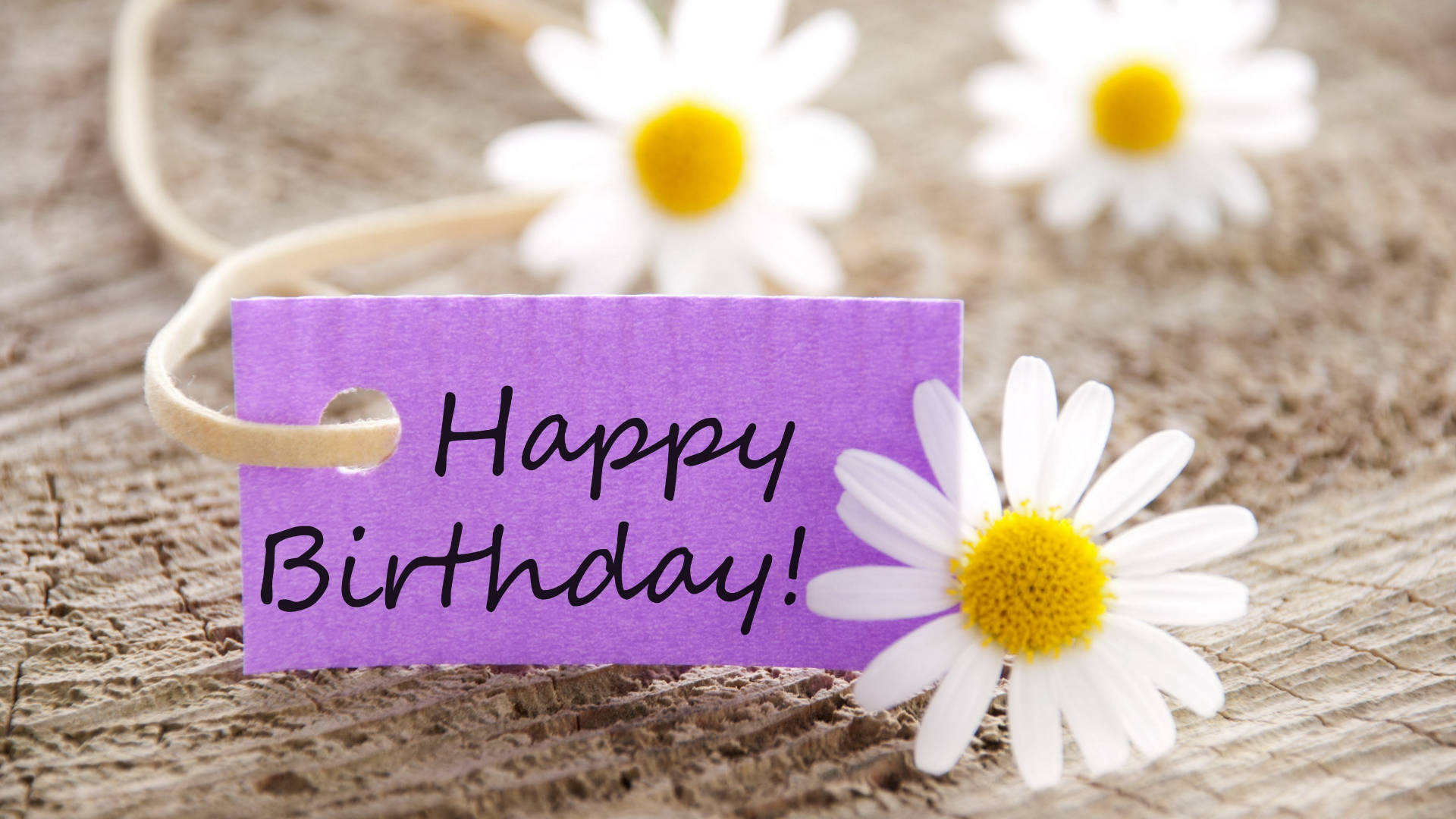 Happy Birthday Flower Dasies With Card Wallpaper