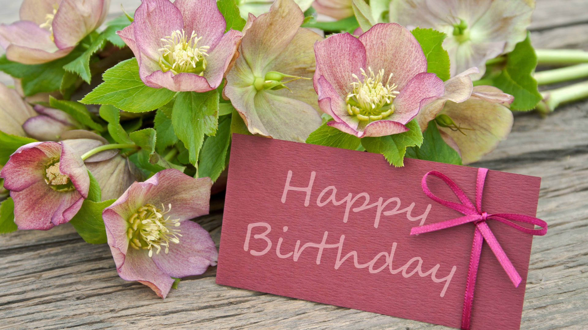 Happy Birthday Flower With Greeting Card Wallpaper