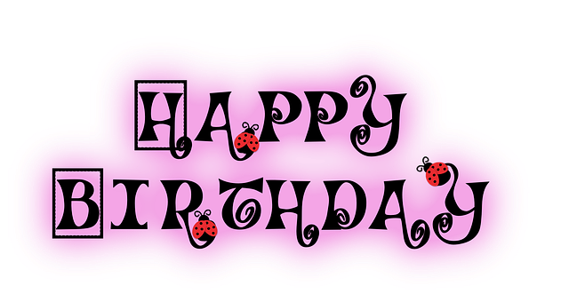 Happy Birthday Ladybug Theme PNG