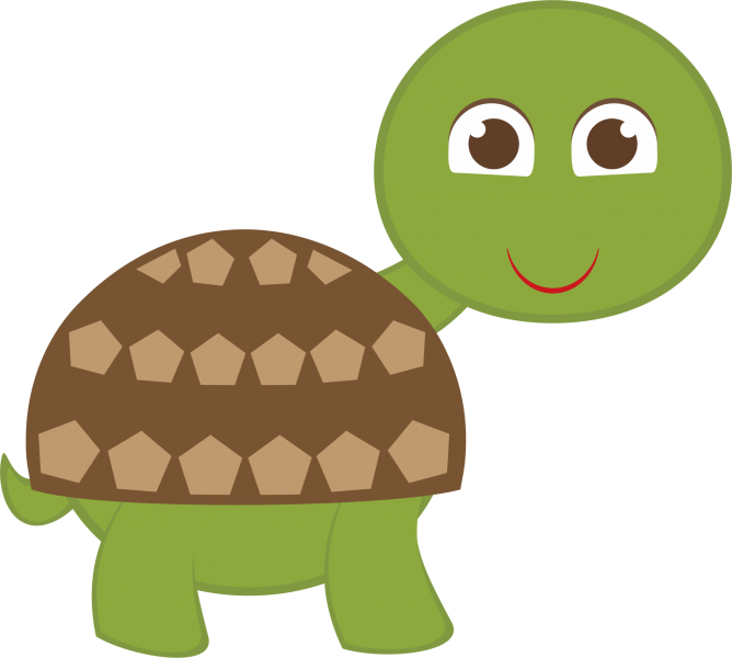 Happy Cartoon Tortoise PNG