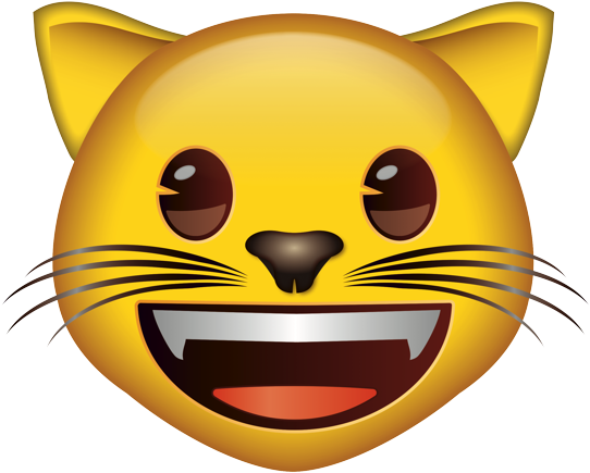 Happy Cat Emoji Grinning.png PNG