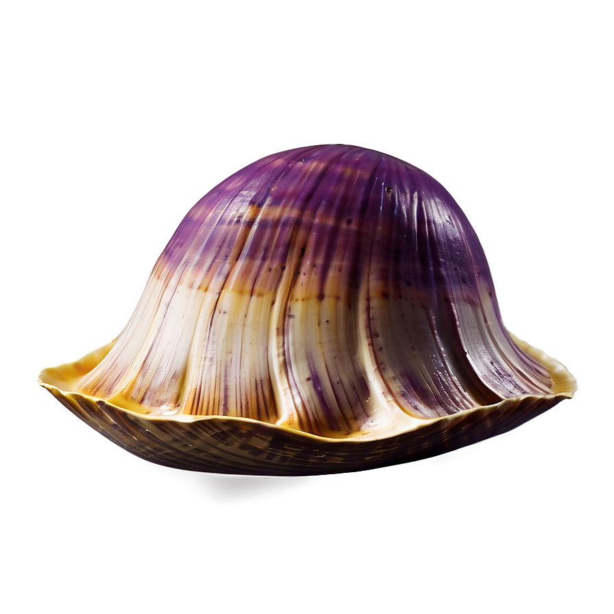 Happy Clam Cartoon Png Ckn65 PNG