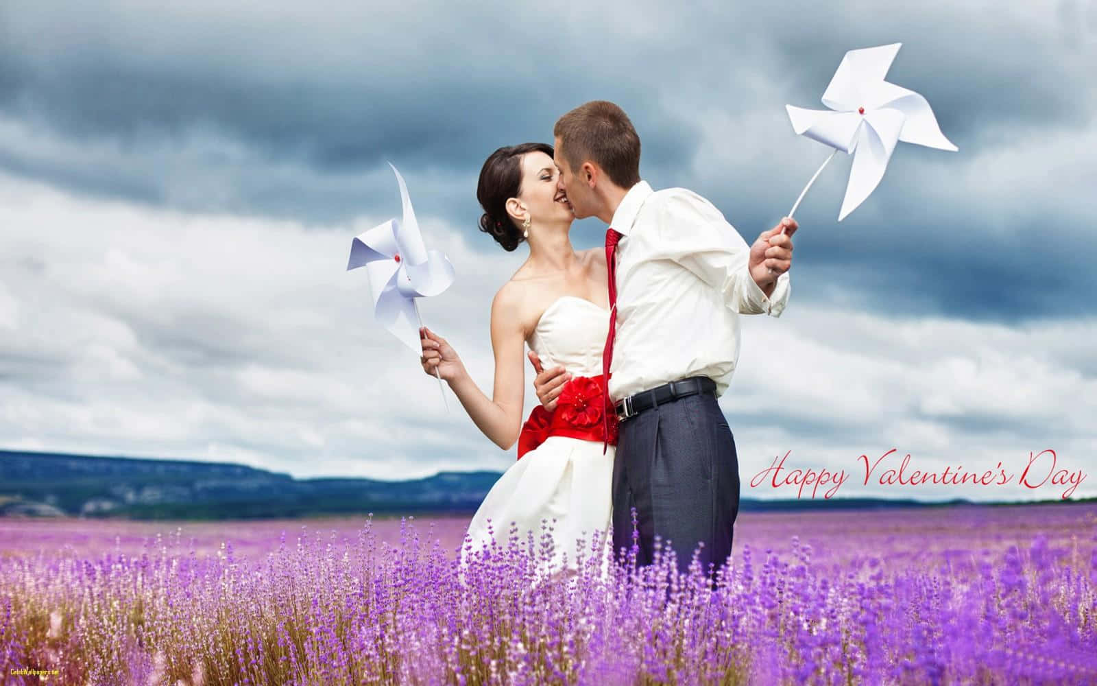Kissing Happy Couples In Purple Field Pictures