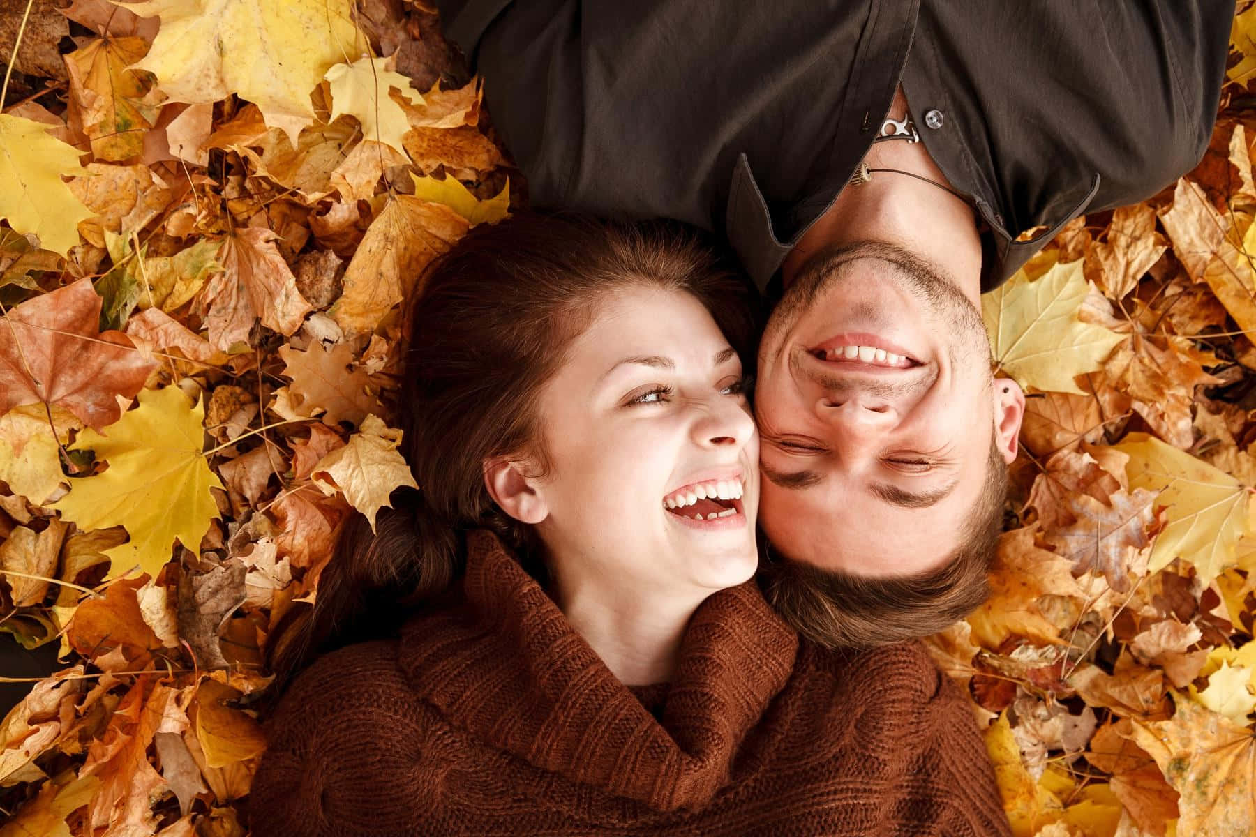 Autumn Happy Couples Pictures