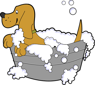 Happy Dog Bath Time PNG