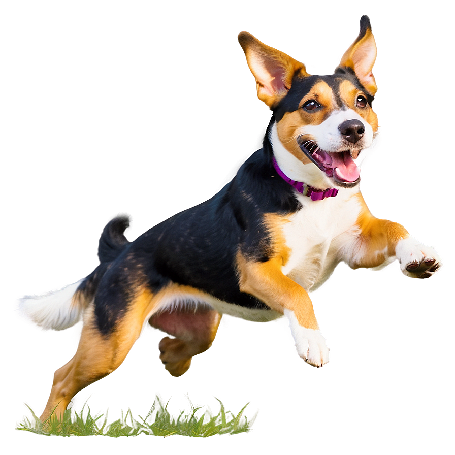 Happy Dog Running Png Iwj PNG