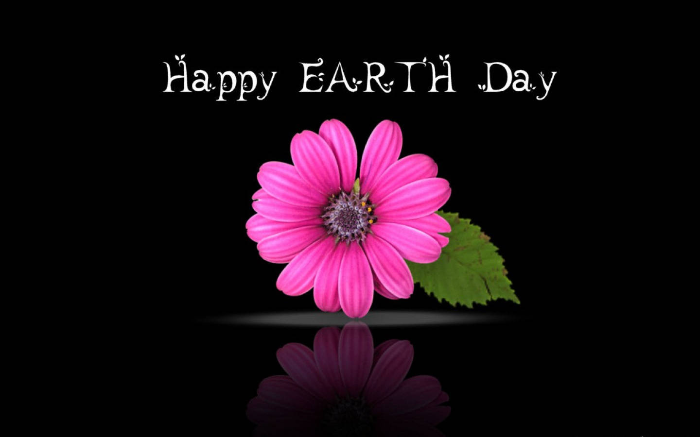 Happy Earth Day Pink Flower Wallpaper