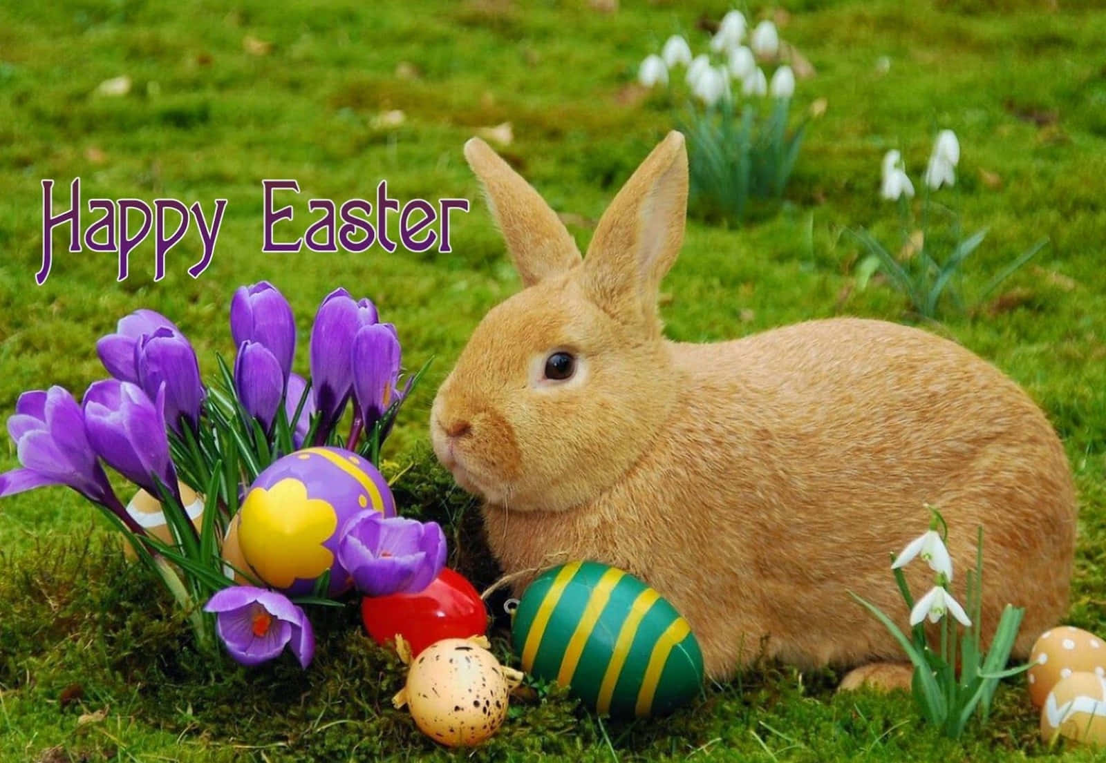 Celebrating the Joy of Easter