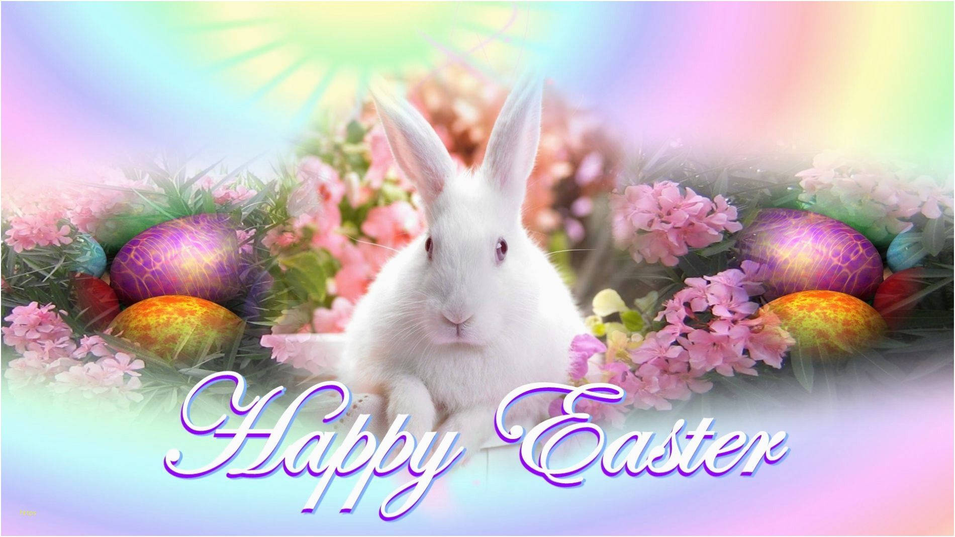 Happy Easter Real White Rabbit Greeting Card Wallpaper