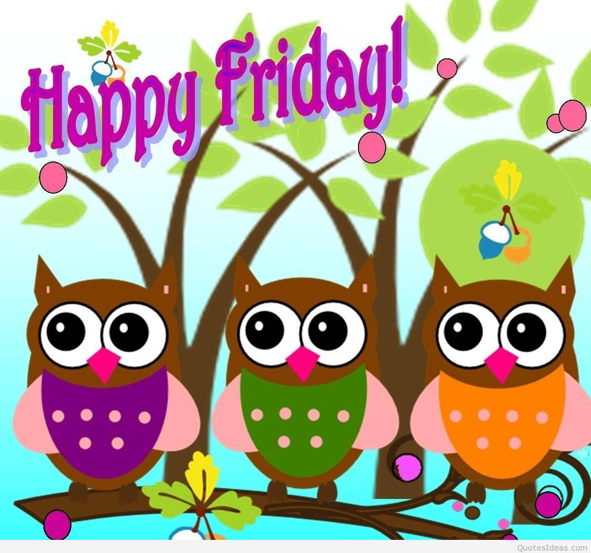 Happy Friday Owls Wallpaper